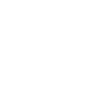 100-NATURAL-1.webp